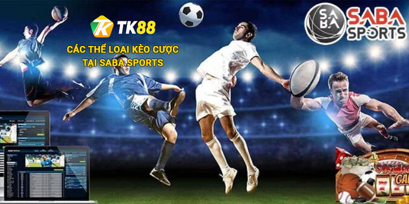 Saba Sports - Sảnh Cược Thể Thao Hợp Tác Uy Tín Cùng Tk88 2 Các thể loại kèo cược tại Saba Sports Tk88